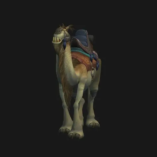 Tan Riding Camel